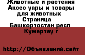 Животные и растения Аксесcуары и товары для животных - Страница 2 . Башкортостан респ.,Кумертау г.